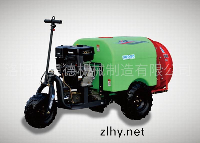 菓(guo)園(yuan)風(fēng)(feng)送(song)打藥機3wfc-300